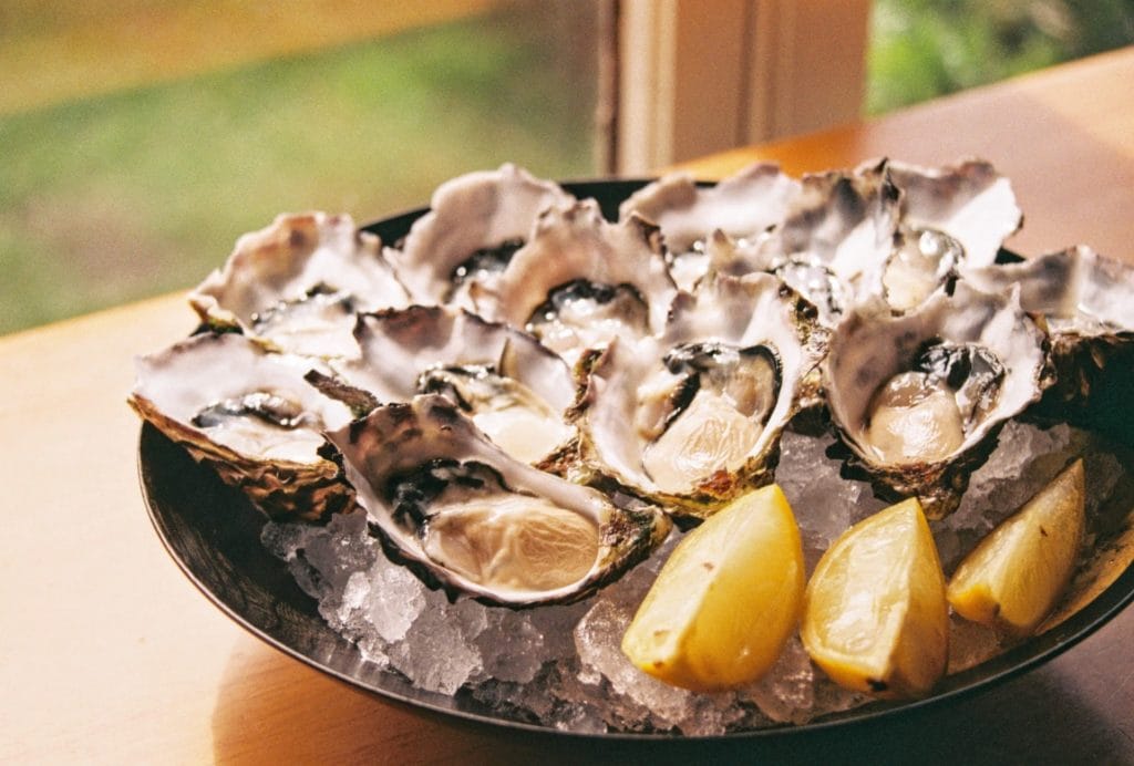 Oysters cholesterol good or bad