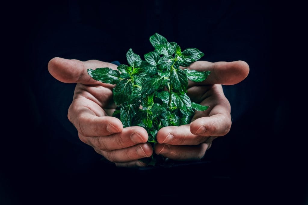 Environmental Benefits