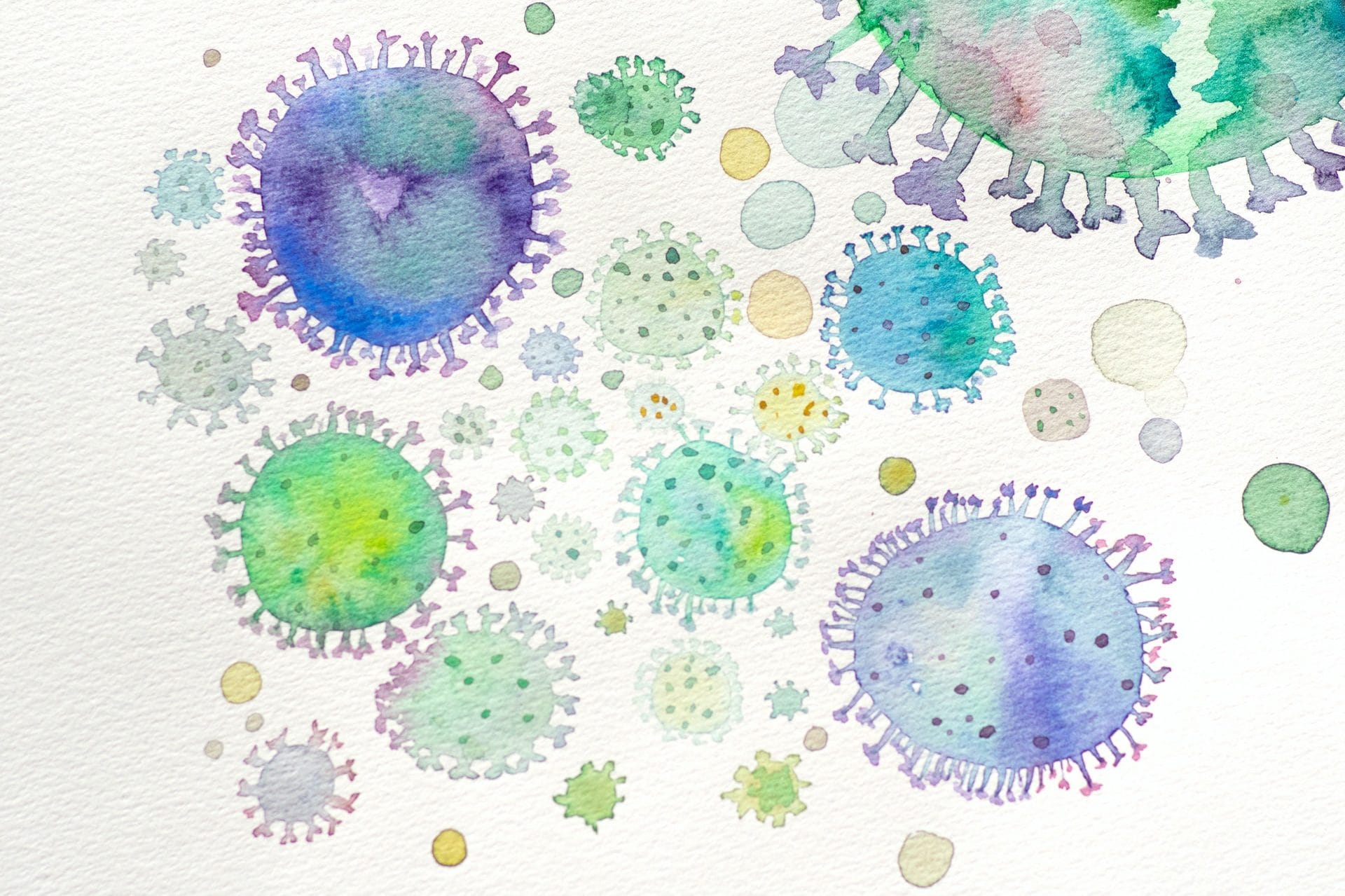 What are 5 ways to boost your immune system?