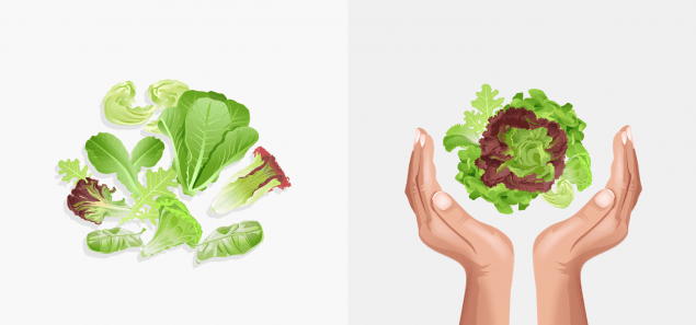 Leafy greens: 2-3 cups or 2 handfuls