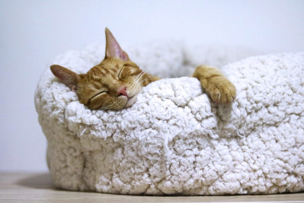 Don't forget to rest