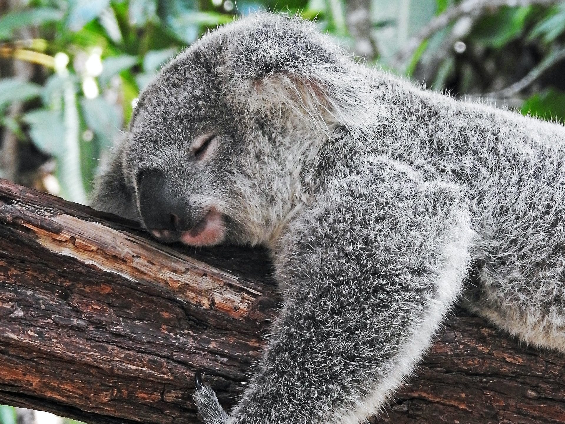What can melatonin do to your body?