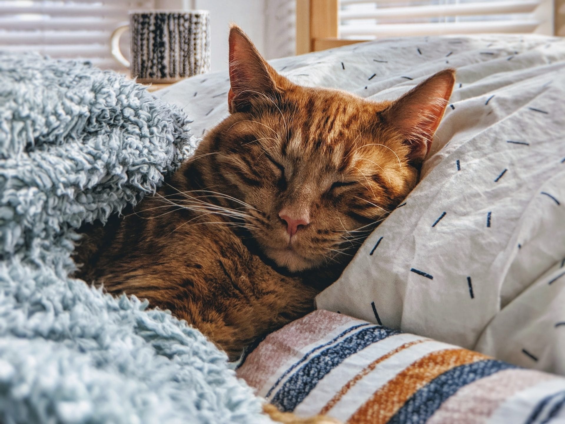 Rate your sleep from 1 to 10 points
