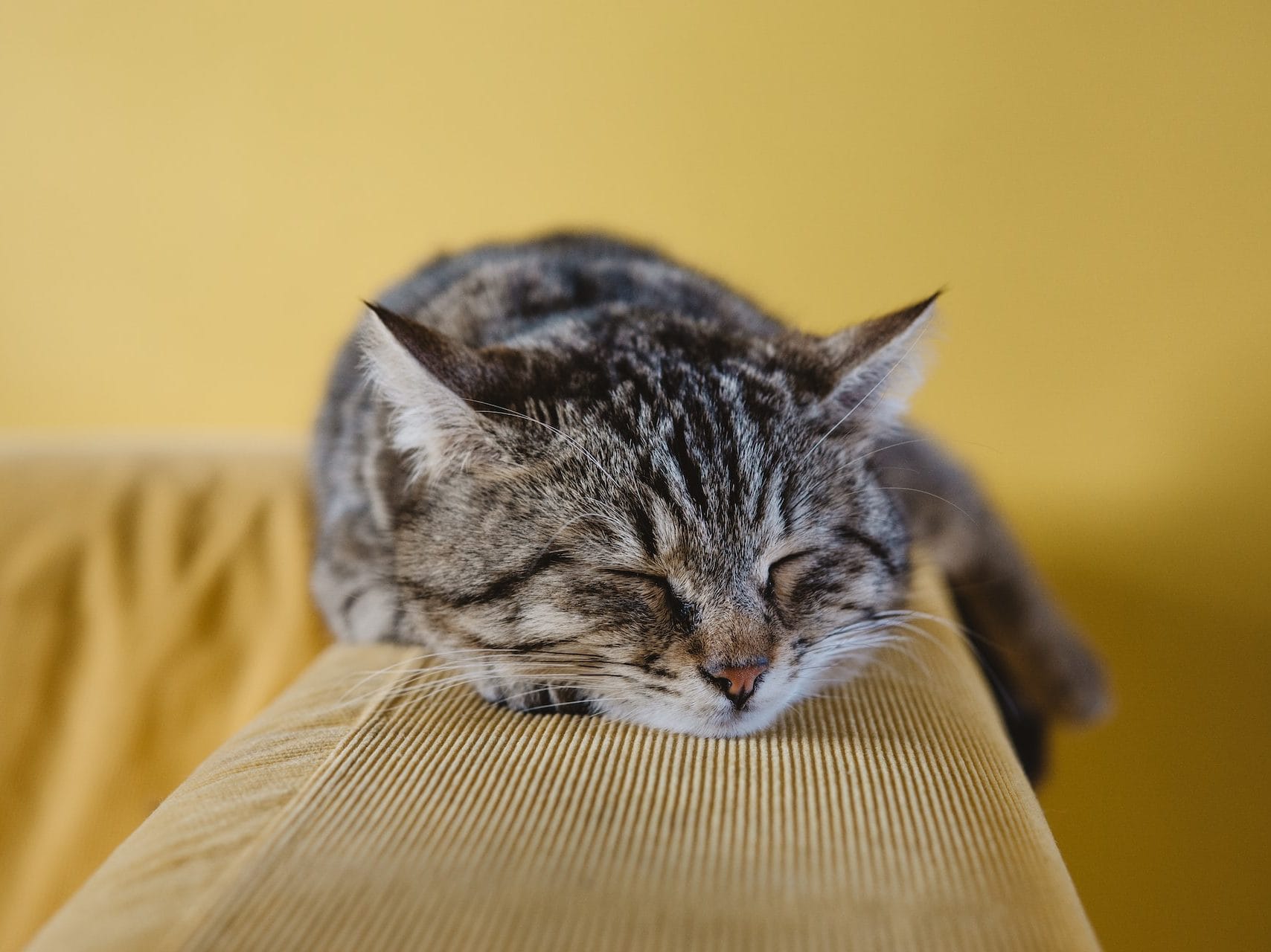 How others sleep