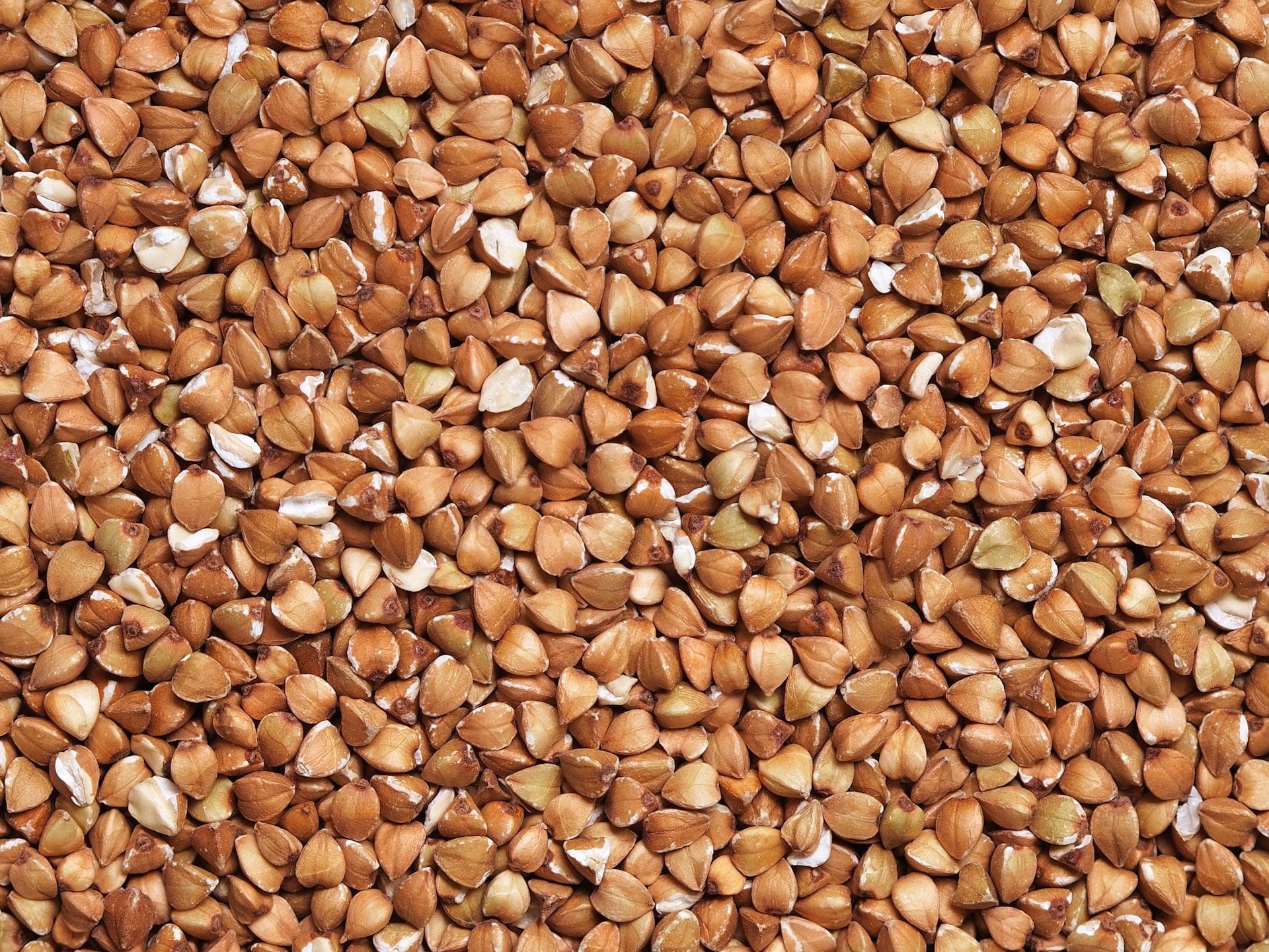 Buckwheat